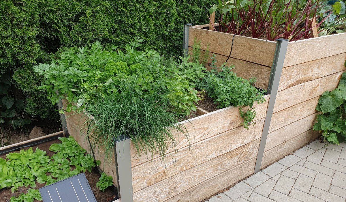 Ein Hochbeet selber bauen aus Holz - BioGreen GmbH