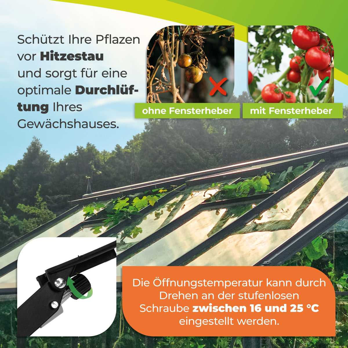 BioGreen Fensterheber für Gewächshäuser mit einstellbarem Temperaturbereich