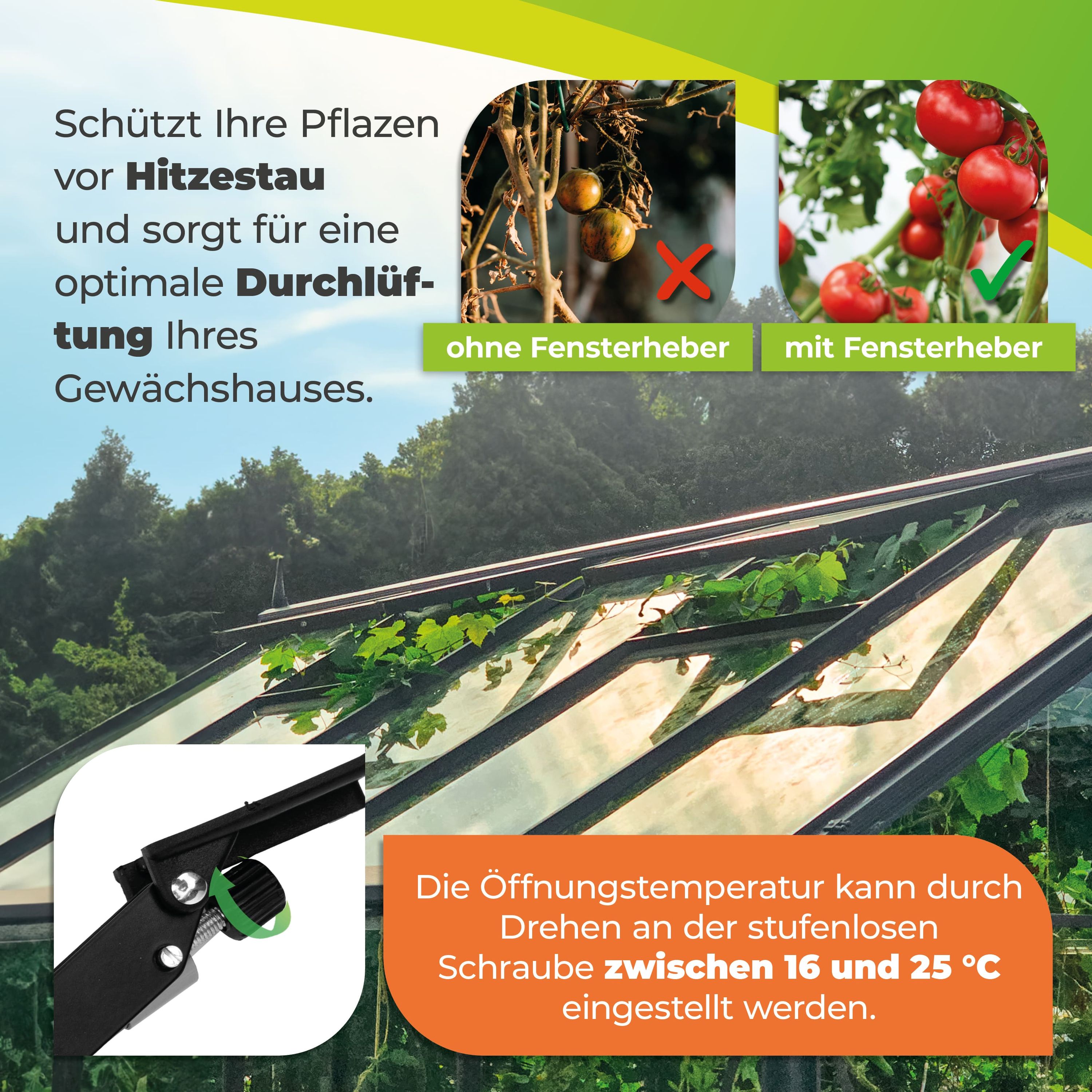 BioGreen Fensterheber für Gewächshäuser mit einstellbarem Temperaturbereich