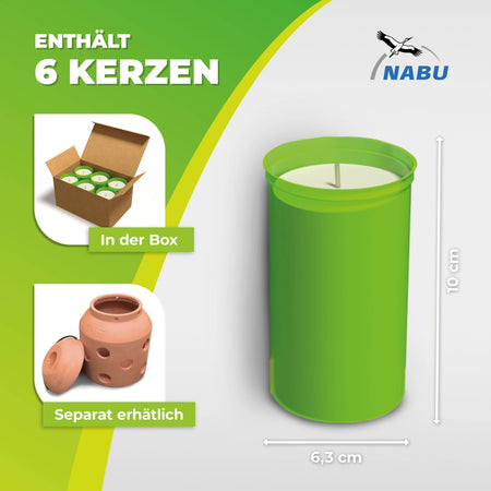 BioGreen 6er-Set Kerzen für Kerzenfrostwächter FireFly in Verpackung