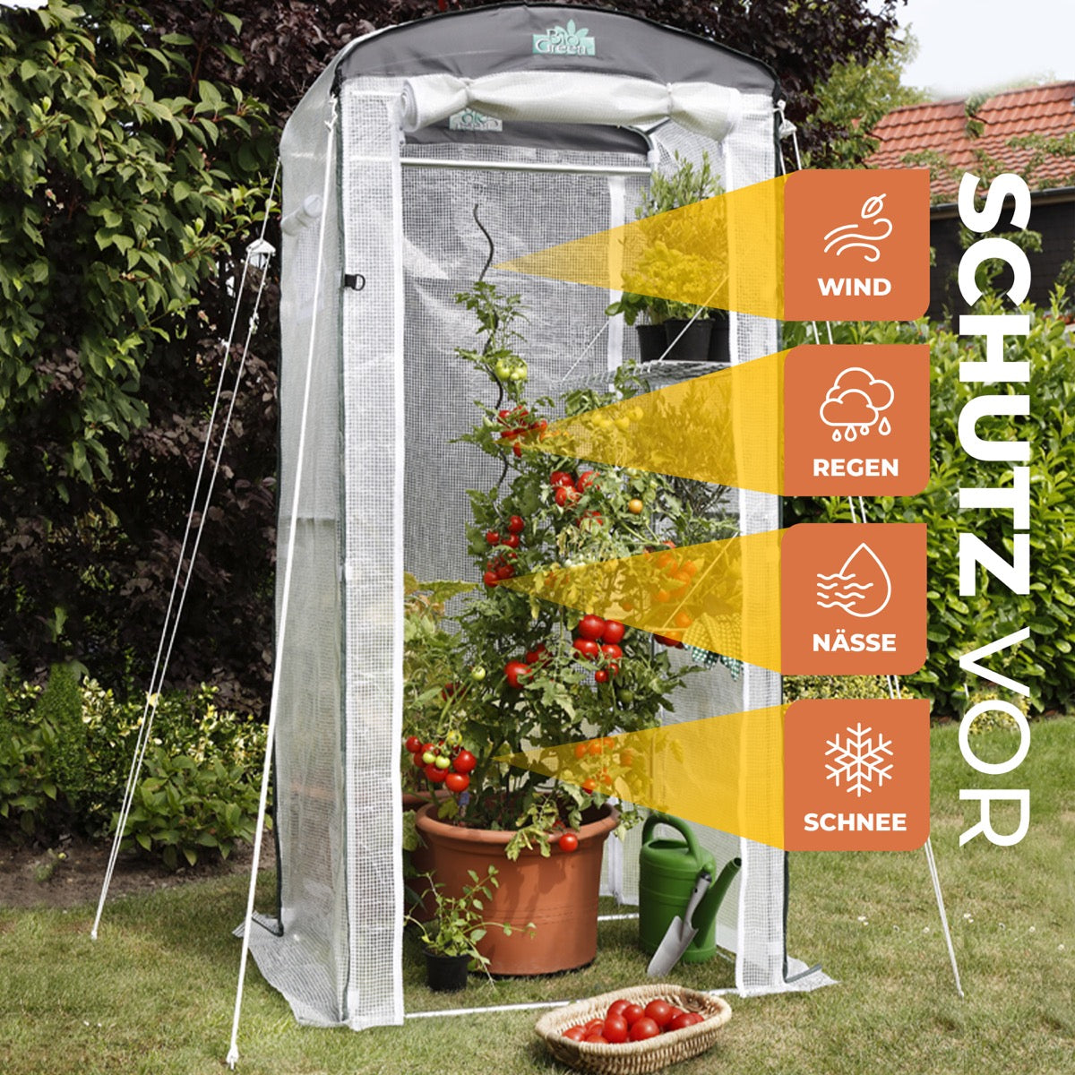 Bio Green Überwinterungszelt für Pflanzen Patioflora 100 für Schutz vor Regen, Schnee, Nässe und Wind