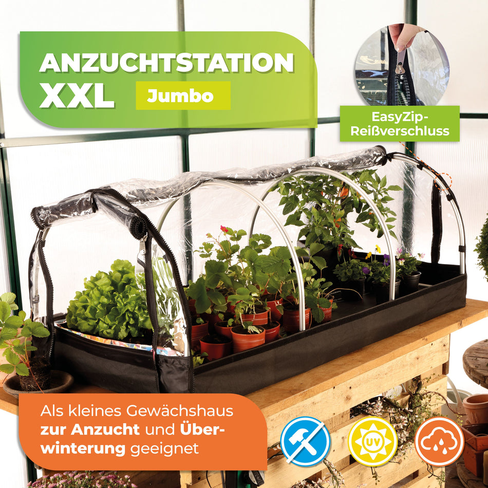 Bio Green XXL-Anzuchtstation Jumbo mit schnellem Aufbausystem