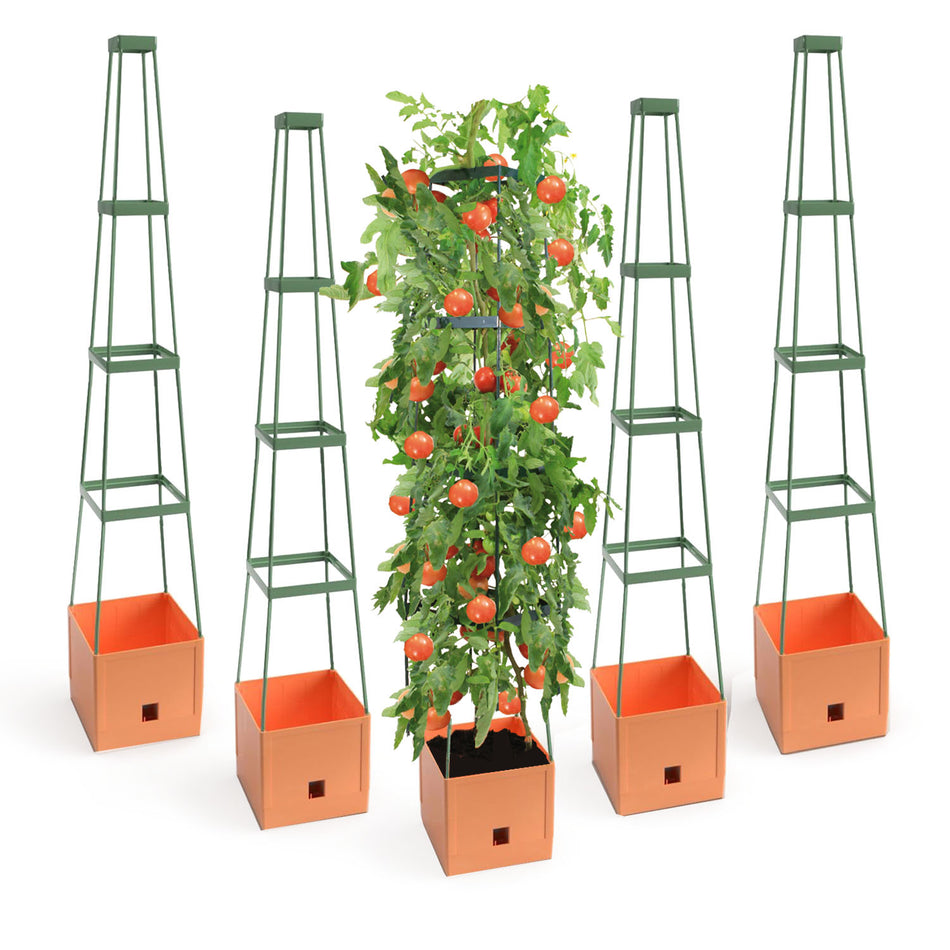5er-Set Pflanzenturm MaxiTom, 150 cm, Farbe: terracotta
