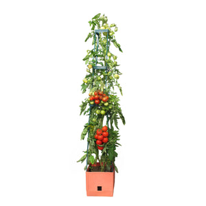 Tomaten Pflanzturm mit Rankhilfe in Terrakotta-Stil