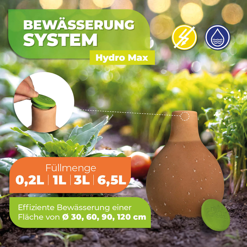 Olla Pflanzenbewässerung "Hydro Max" in den Größen 0,2 L / 1 L / 3 L / 6,5 L