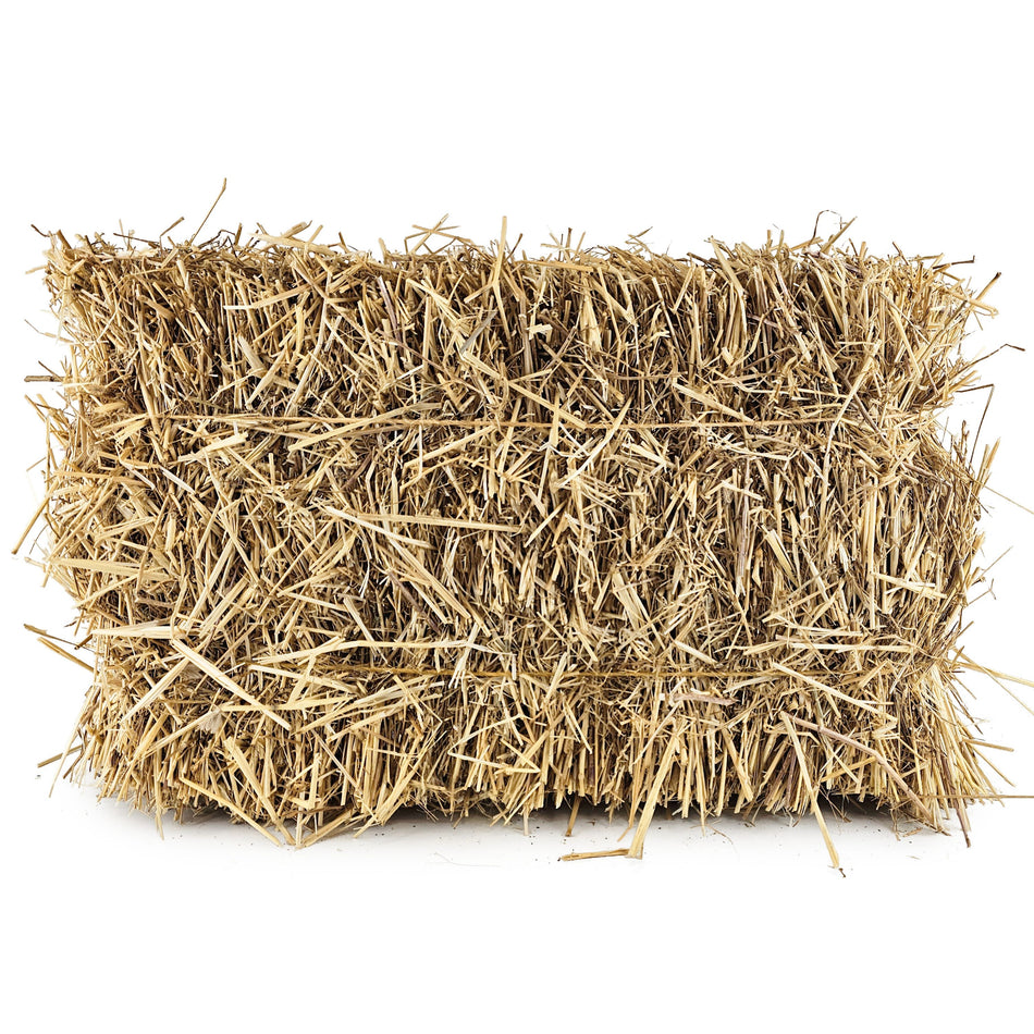 Strohballen ca. 7 kg - Weizenstroh im Karton
