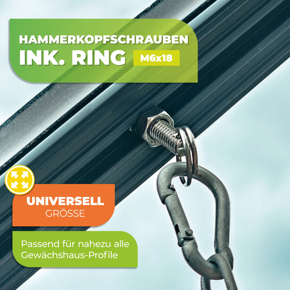5er-Pack Hammerkopfschrauben mit Muttern und Ring Öse M6x18