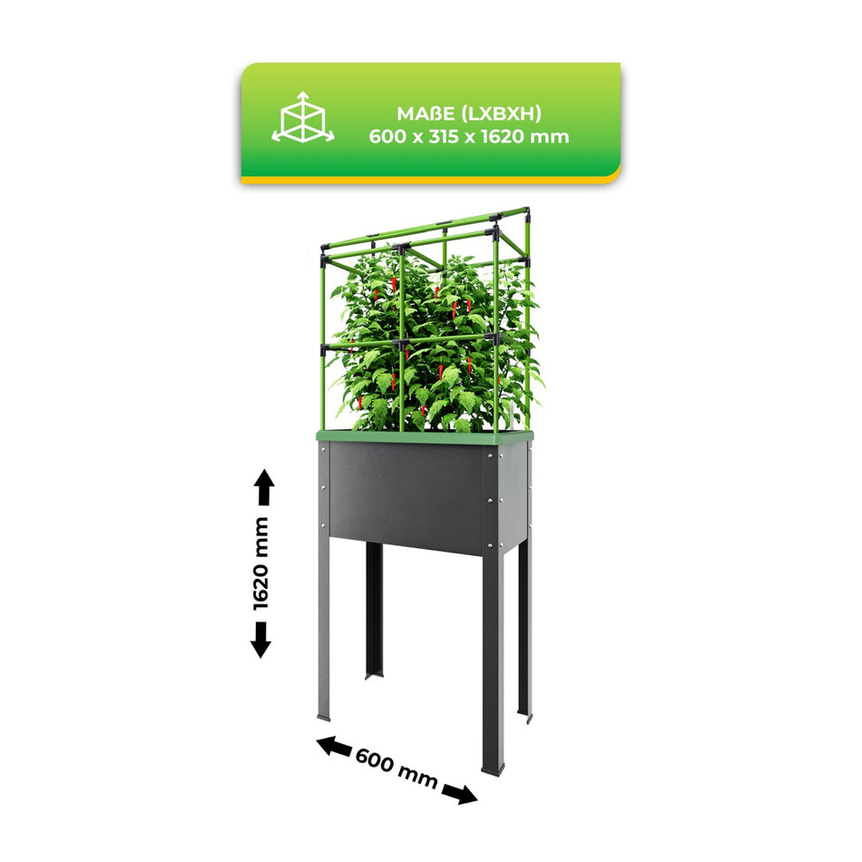 Bio Green Hochbeet mit Rankhilfe City Jungle Heidelberg Maße