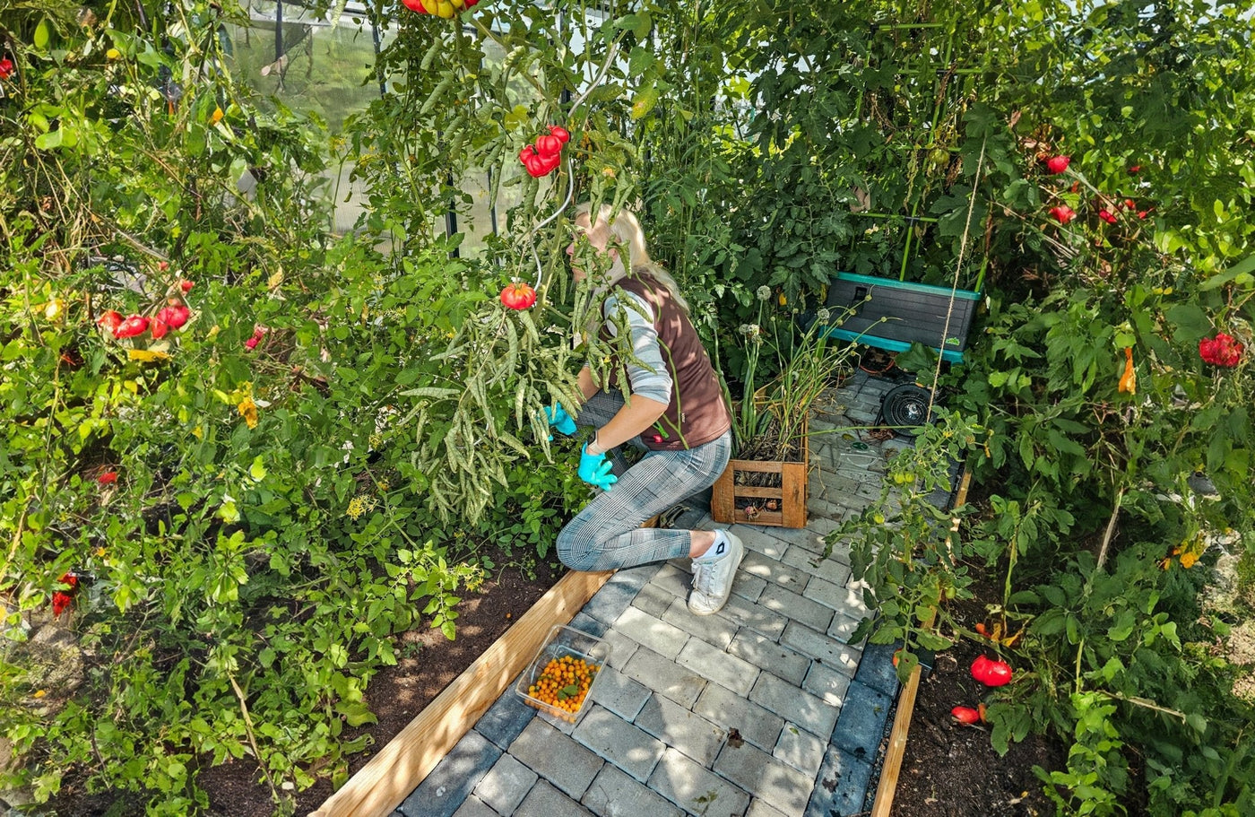 Beet-Einfassung bauen mit ErnteMAXX - BioGreen GmbH