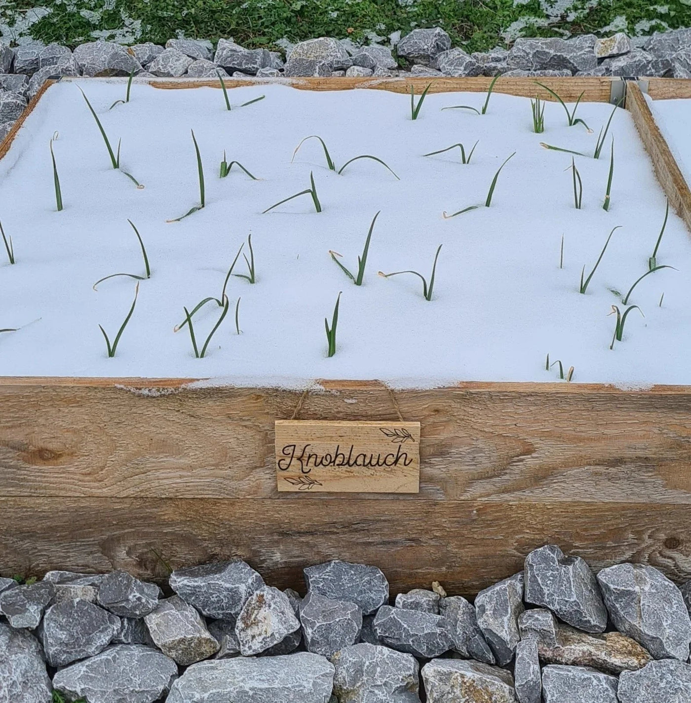 Das Hochbeet im Winter – Das sind die Möglichkeiten - BioGreen GmbH