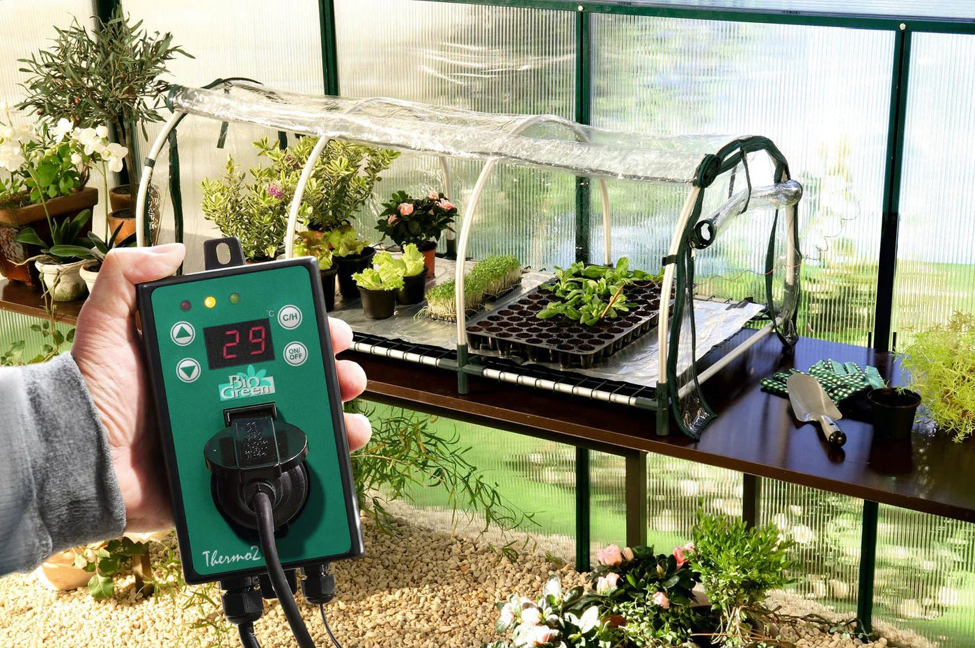 ERFOLGREICHE PFLANZENANZUCHT MIT BIOGREEN HEIZMATTEN - BioGreen GmbH