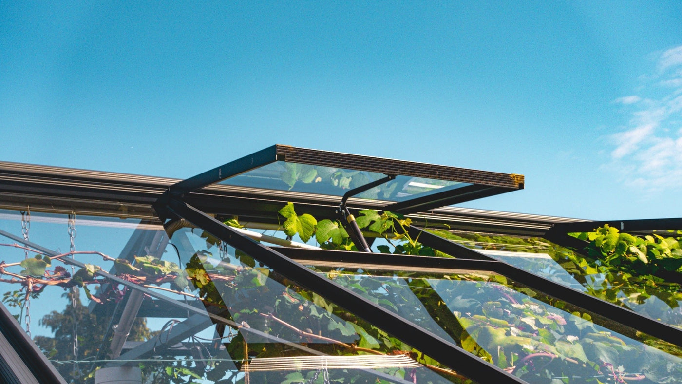 Gewächshausnutzung im Sommer – Vorbereitung und Möglichkeiten - BioGreen GmbH