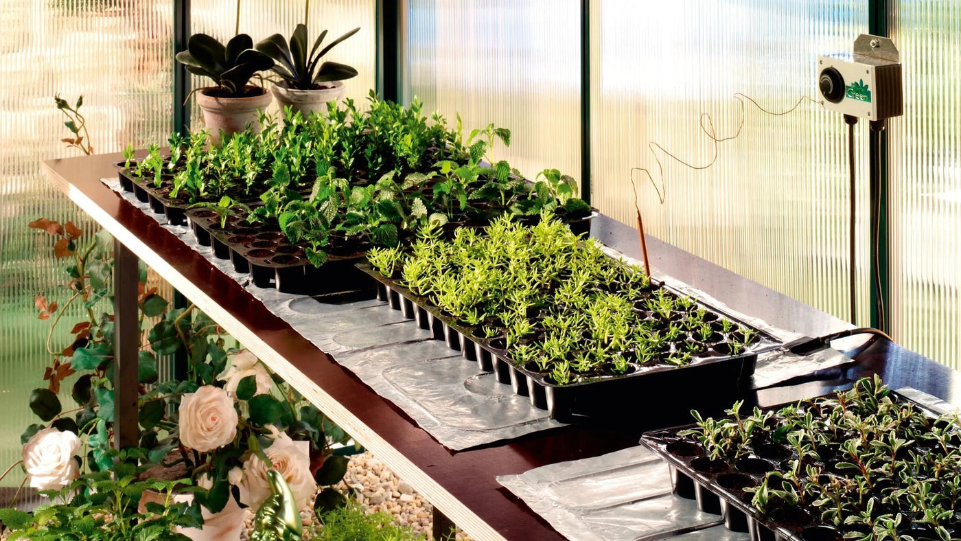 Heizmatten für Pflanzen  - BioGreen GmbH