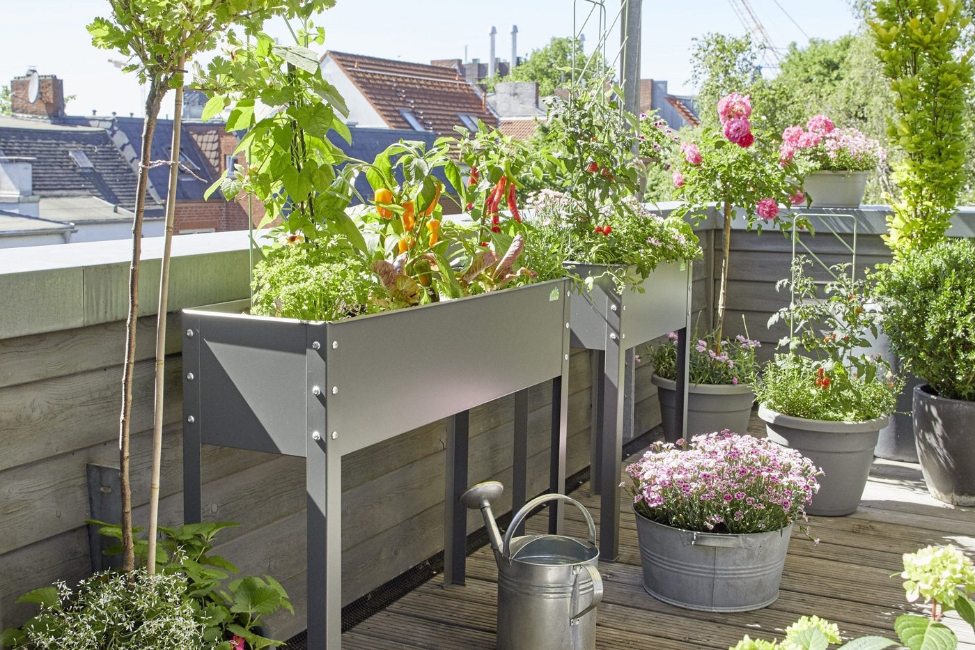 Kräuter auf dem Balkon anbauen - BioGreen GmbH