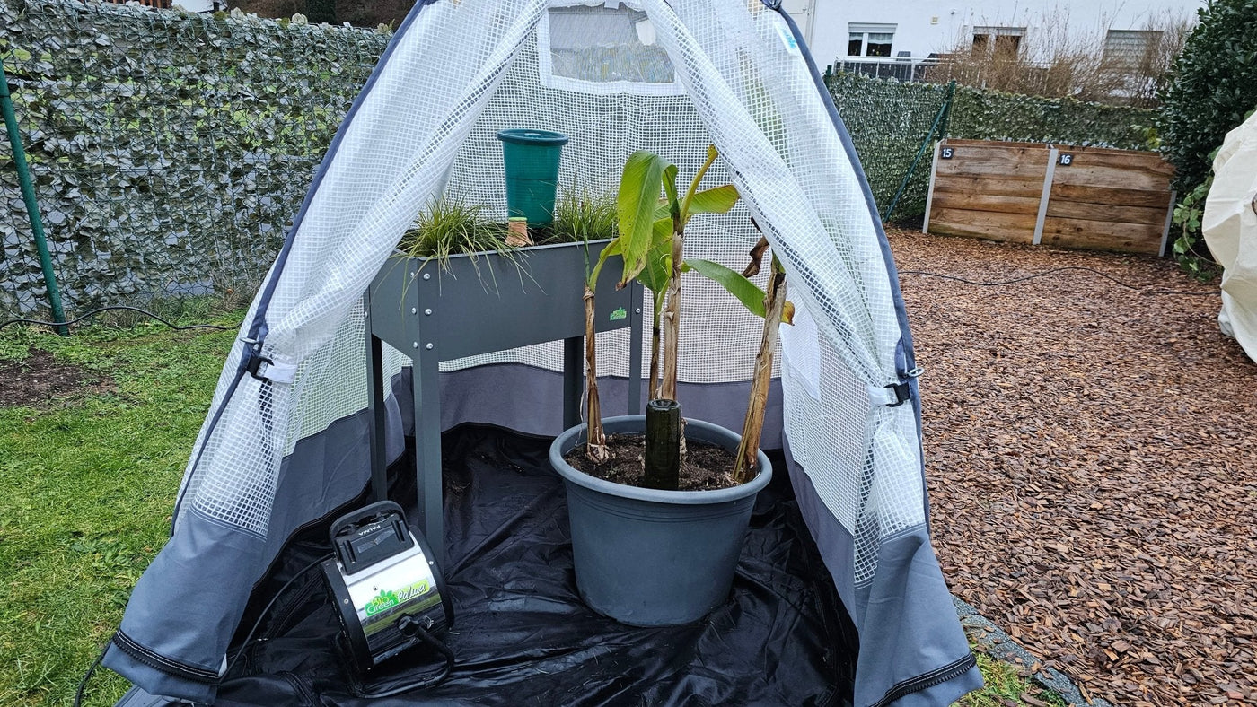 Pflanzenbewässerung im Winter - BioGreen GmbH