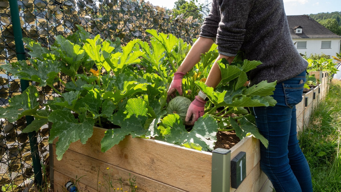 Selbstversorger-Garten - BioGreen GmbH