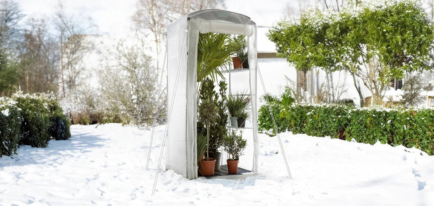 Winterschutzzelt für Pflanzen - BioGreen GmbH