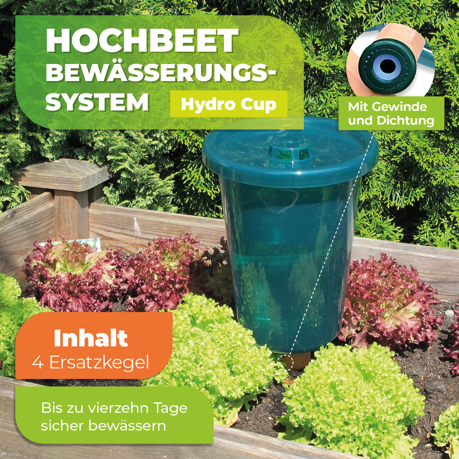 4x Ersatztonkegel für Hochbeet Bewässerungssystem "Hydro Cup" - BioGreen GmbH
