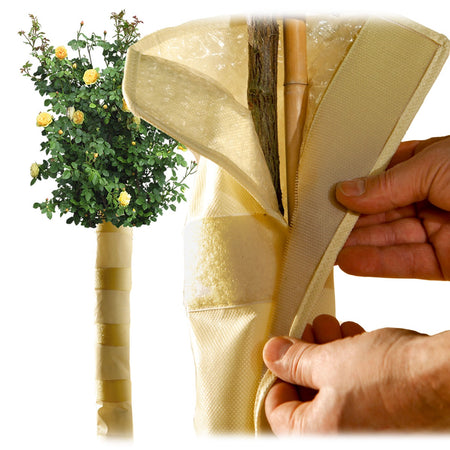 Bio Green Schutzmantel für Baumstämme aus Micro-Vlies