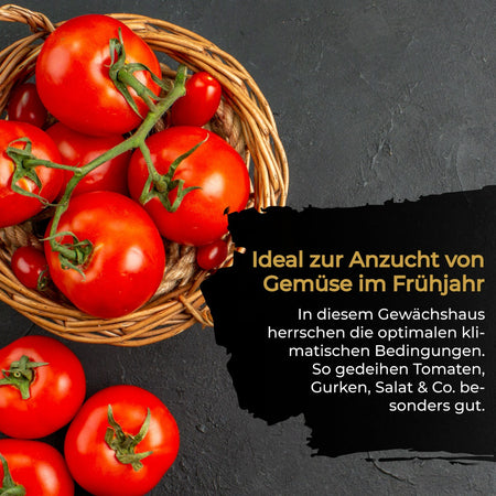 Bio Green Überwinterungszelt für Pflanzen Patioflora 80 - ideal auch zur Anzucht im Frühjahr