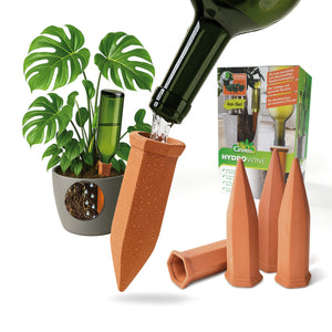 Arrosoir pour plantes en pot « Hydro Wine » 4 pièces. Cônes d'argile pour bouteilles de vin et PET