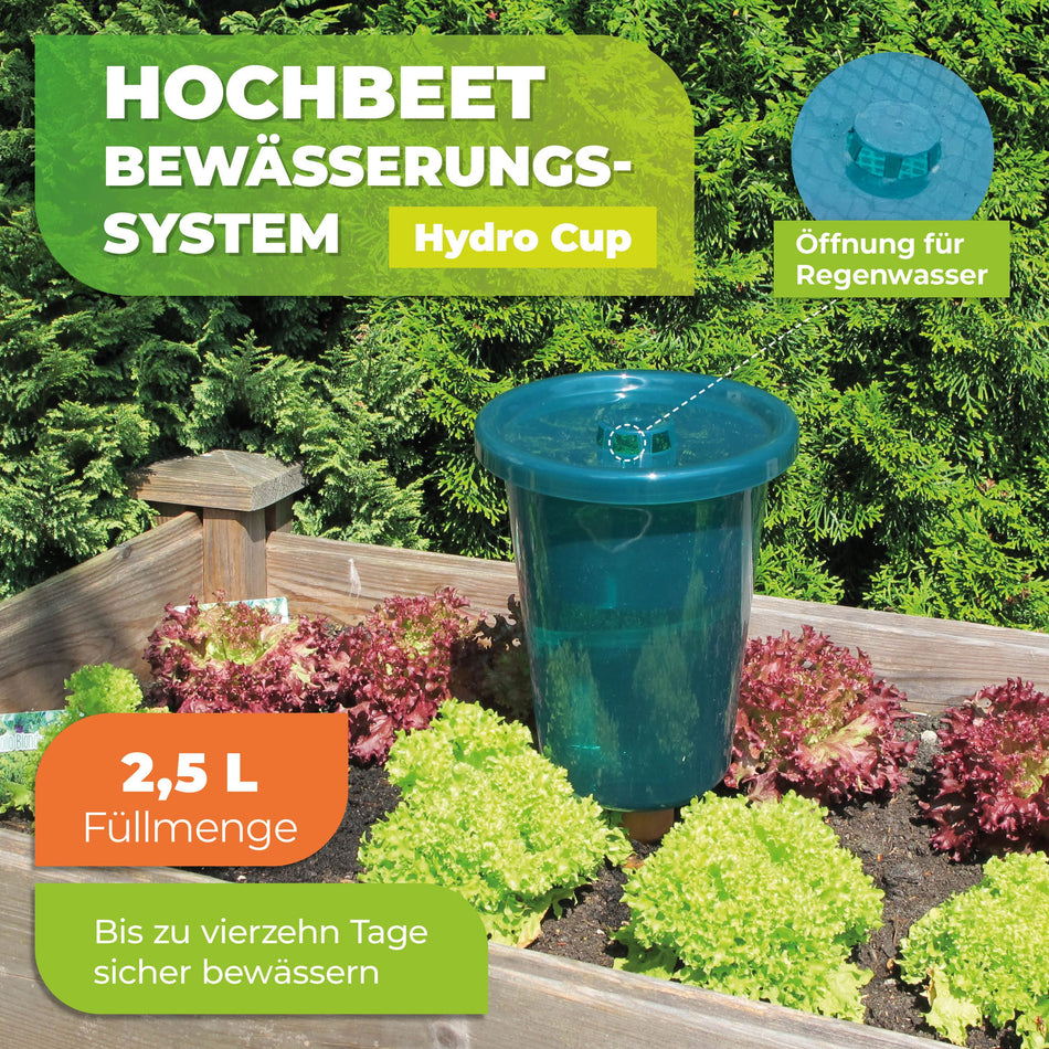 Bewässerungssystem "Hydro Cup" mit Tonkegel und Becheraufsatz