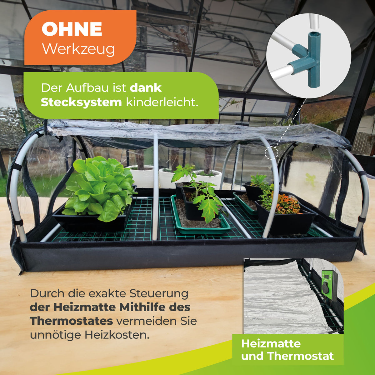 BioGreen Anzuchtstation XXL Jumbo mit Heizmatte und Thermostat im Set - einfacher Aufbau