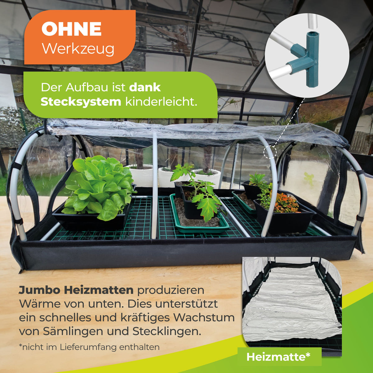 Bio Green XXL-Anzuchtstation Jumbo fördert Samenkeimung und Wurzelbildung
