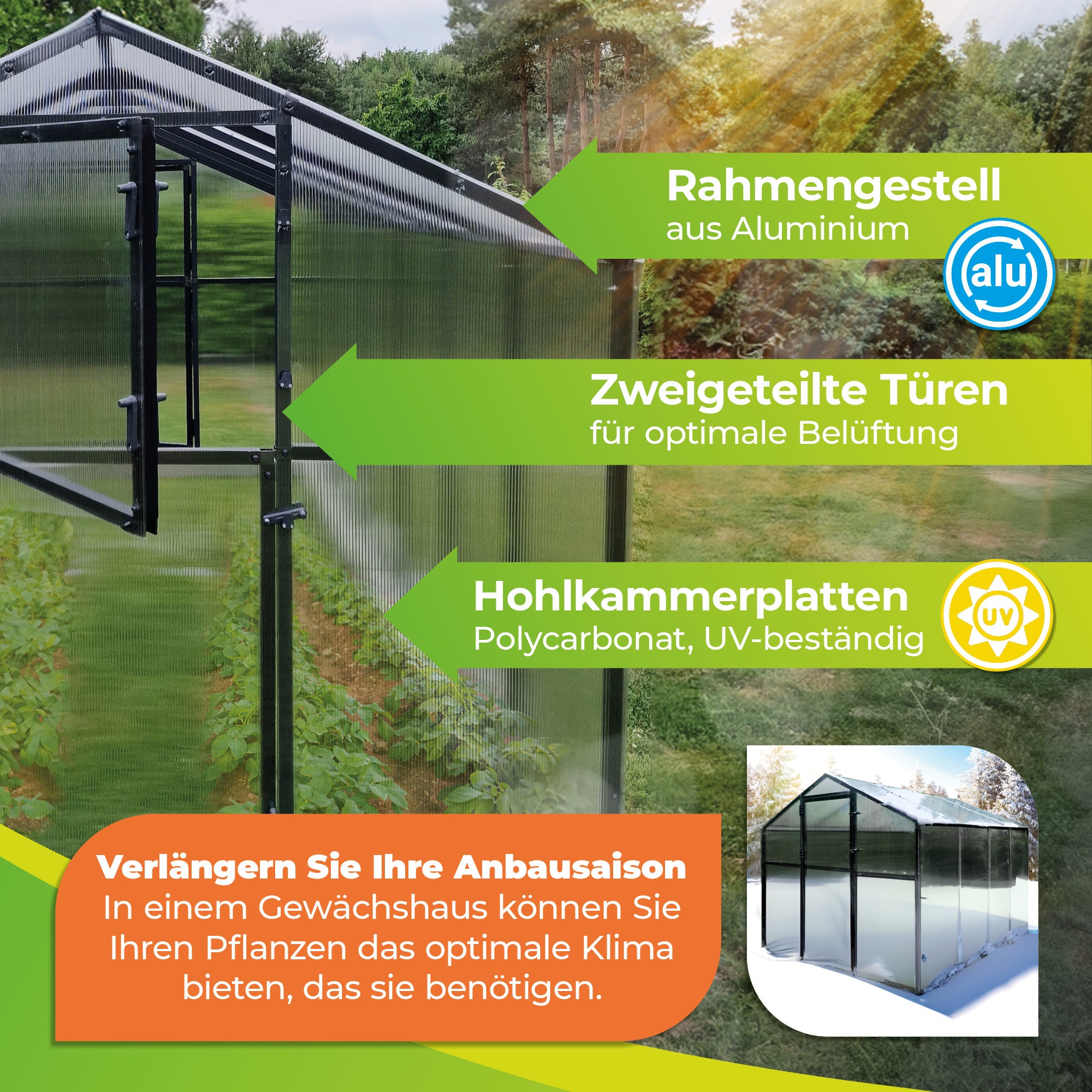 Gewächshaus 