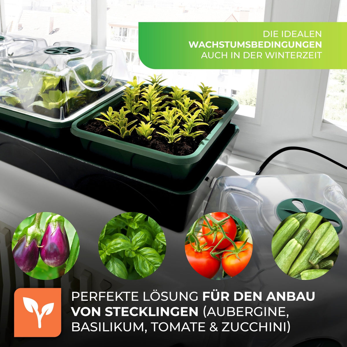 Anzuchtstation "Hollandia" mit LED - Lichtleiste "Florabooster 200" (60 cm) und Ständer - BioGreen GmbH