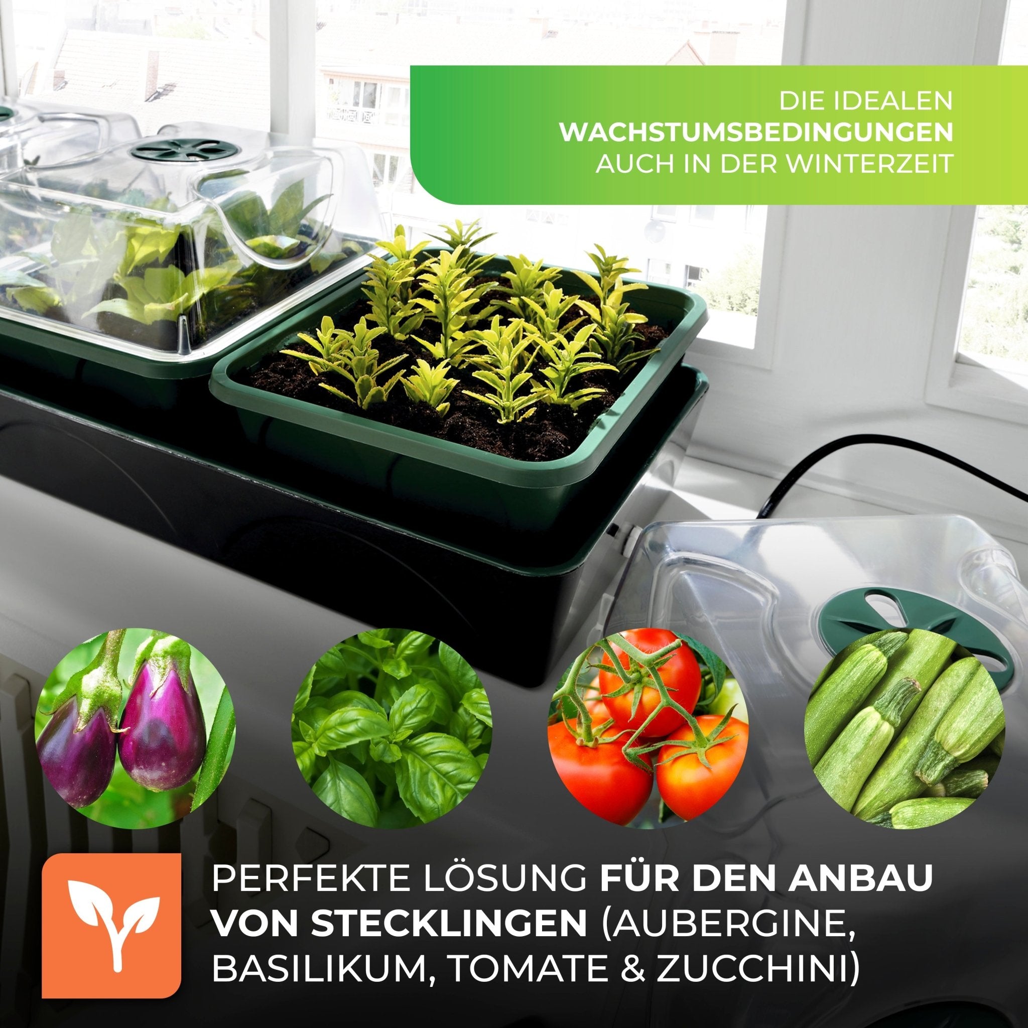 Anzuchtstation "Hollandia" mit LED - Lichtleiste "Florabooster 200" (60 cm) und Ständer - BioGreen GmbH
