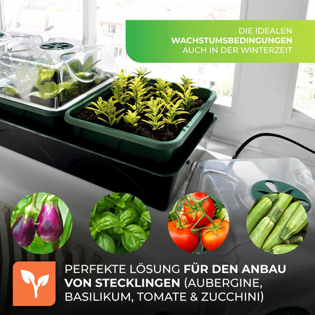 Anzuchtstation "Hollandia" mit LED - Lichtleiste "Florabooster 200" (60 cm) und Ständer - BioGreen GmbH