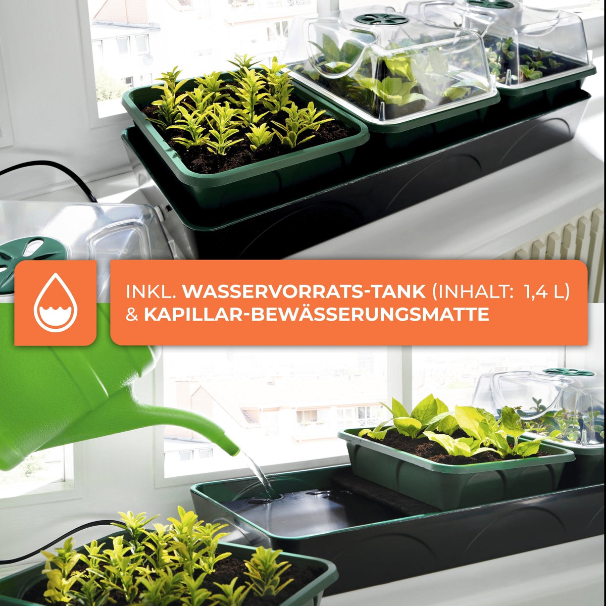Anzuchtstation "Hollandia" mit LED - Lichtleiste "Florabooster 200" (60 cm) und Ständer - BioGreen GmbH