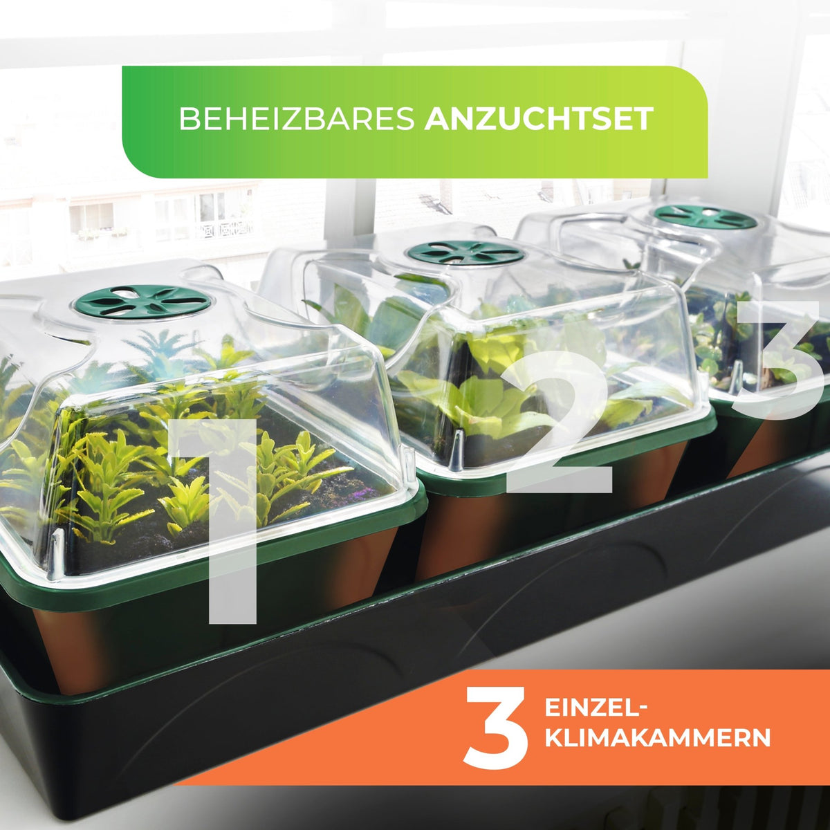 Anzuchtstation "Hollandia" mit LED - Lichtleiste "Florabooster 200" (60 cm) und Ständer - BioGreen GmbH