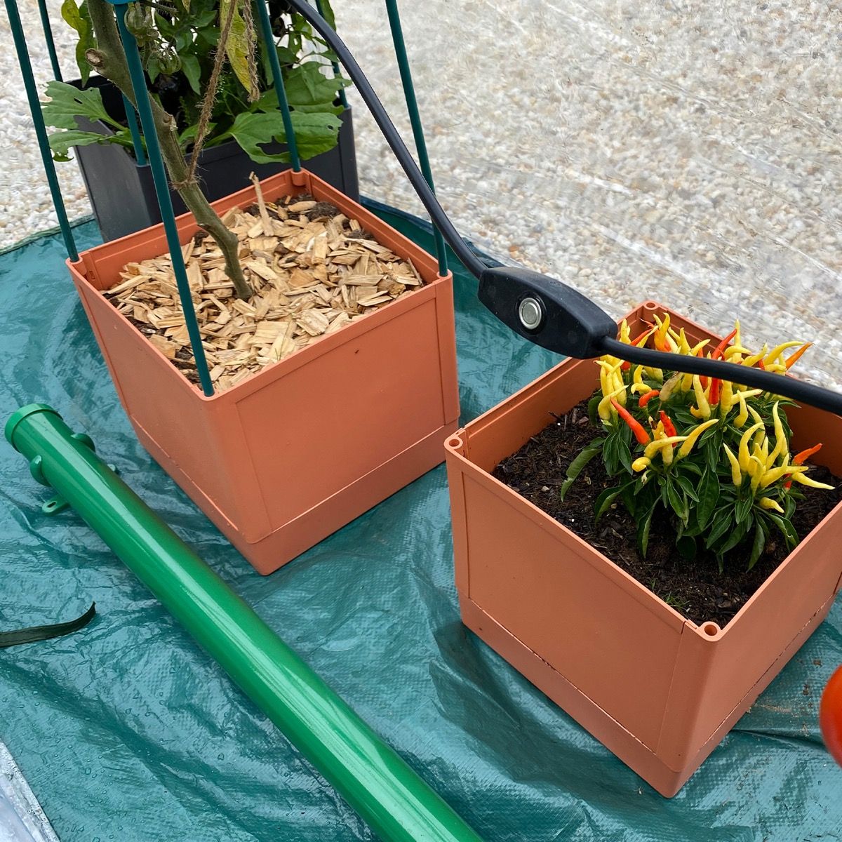 Elektro - Heizung „Frostwächter 135“ mit Thermostatkabel „ZeroStat“ im Set, 135 Watt - BioGreen GmbH