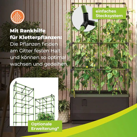 Hochbeet "City Jungle" mit Standfuss und Frühbeetaufsatz - BioGreen GmbH