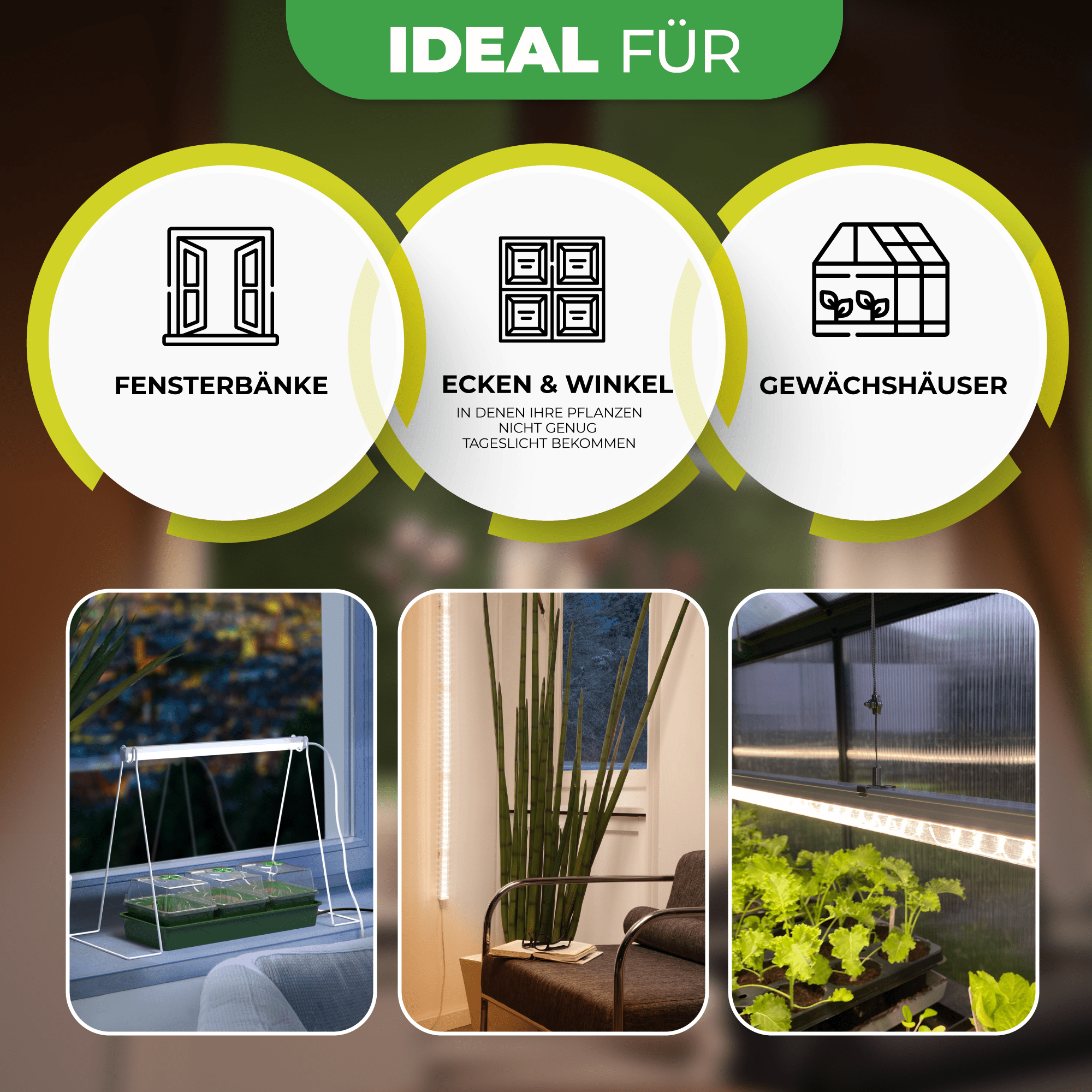 LED - Lichtleiste Florabooster 200 mit 60 cm Länge und Standfuß - BioGreen GmbH